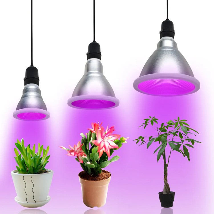 full spectrum new horticulture bulb full spectrum new horticulture bulb