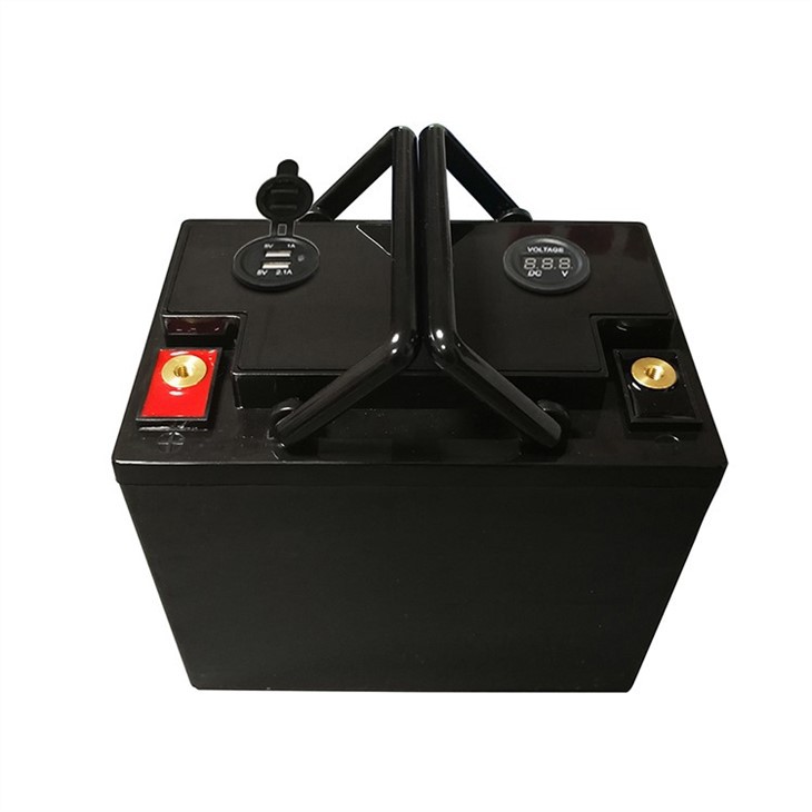 Bms Lifepo4 Battery 12v 100ah