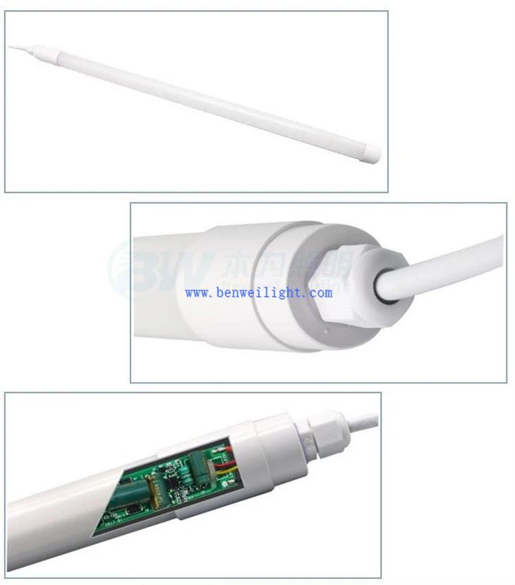 Dawl Kummerċjali tat-Tjur