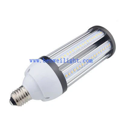 Rv Led Basal tad-Dawl