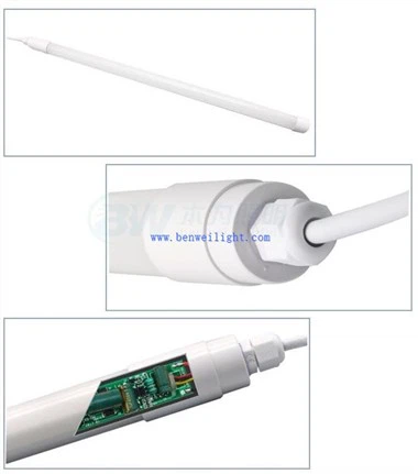 Dawl LED fil-Produzzjoni tat-Tjur