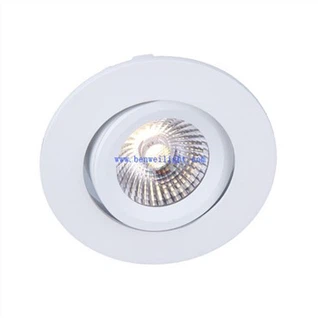 Robus Downlight