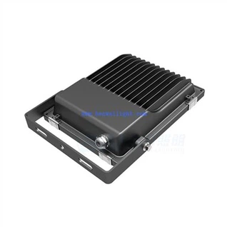 Stainless Security Led Floodlight