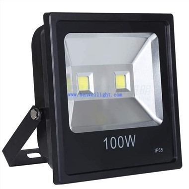 Wessex Floodlight
