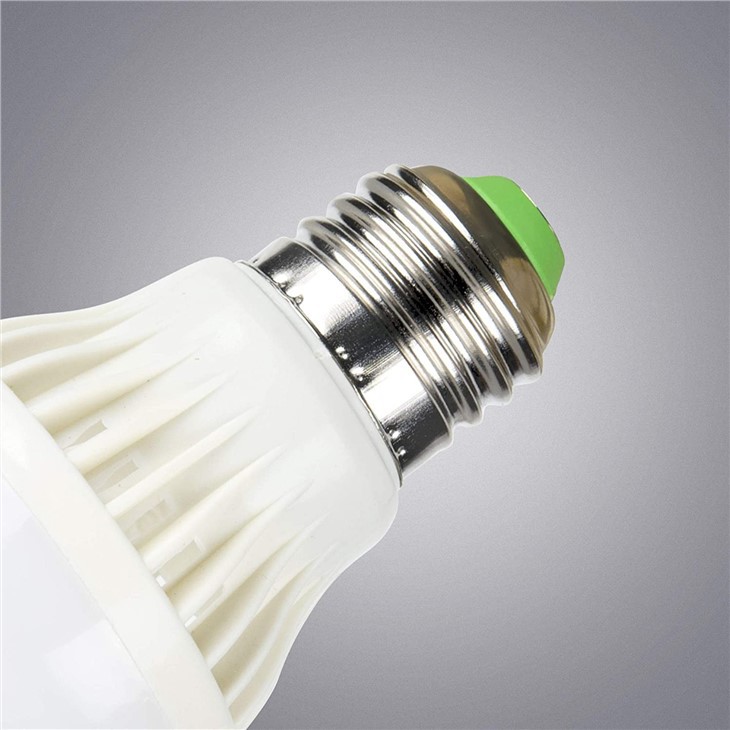6v 6w bulb detail