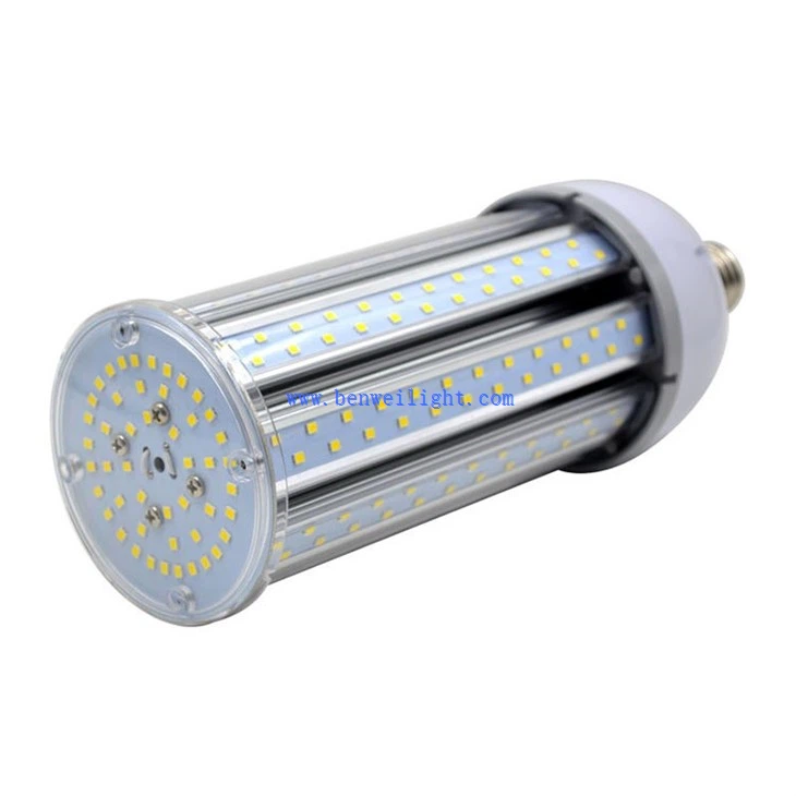 b22 corn bulb