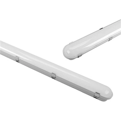 4ft Fwar Issikkat
