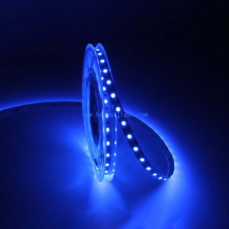 5050 24V RGB Constant Current LED Strip Light