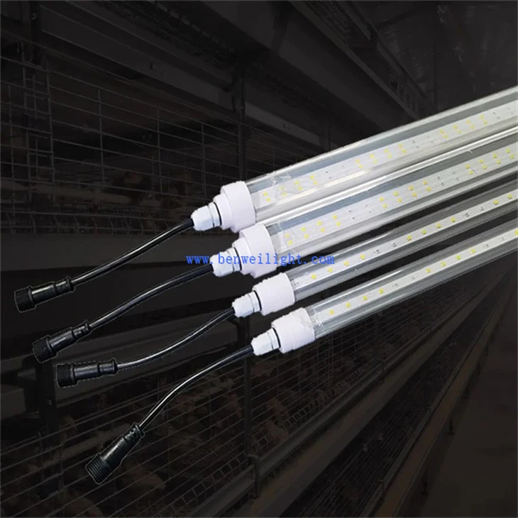 Coop Lighting (2)