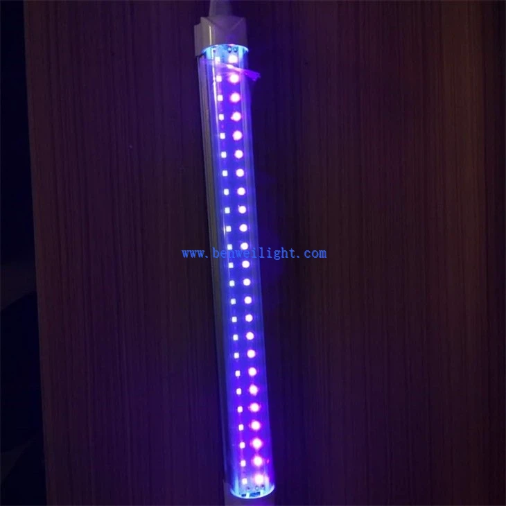 Full Spectrum Light (5)