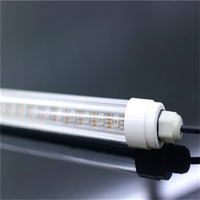 The Function Of Purple LED Lights In Providing Support For Every Stage Of Plant Growth