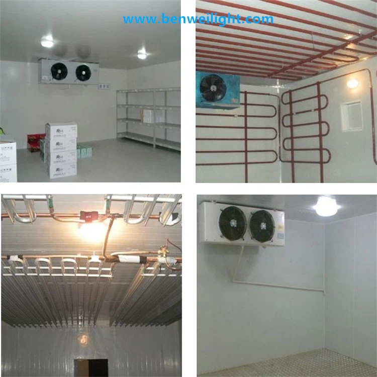 info-750-750