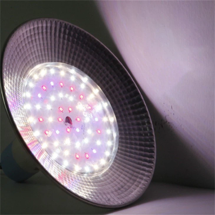 full spectrum light bulbs