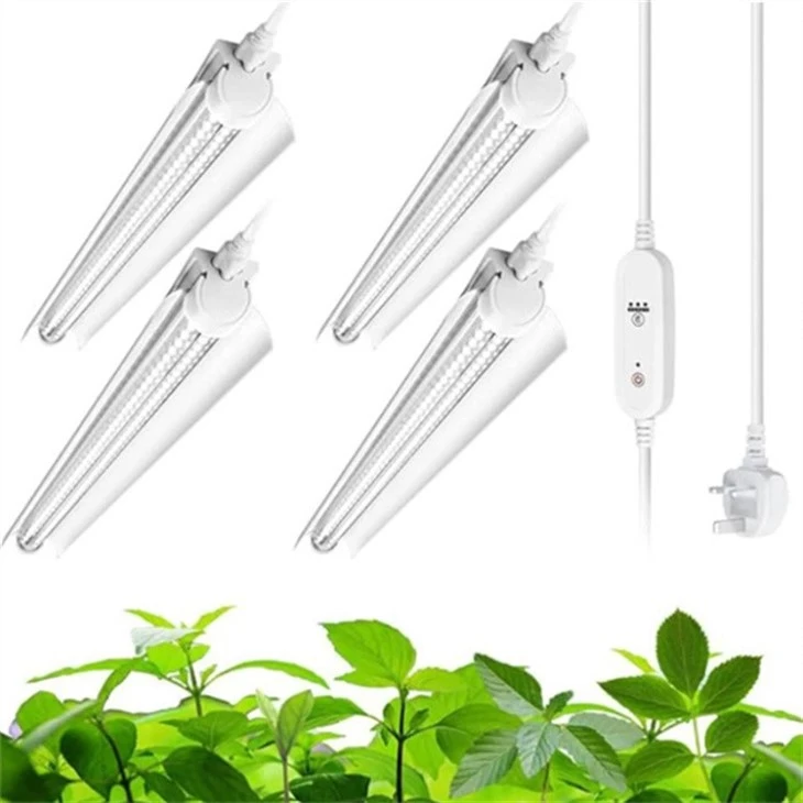 plant grow light