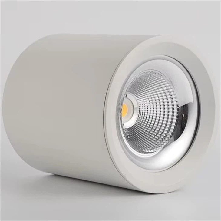 ceiling mounted downlight