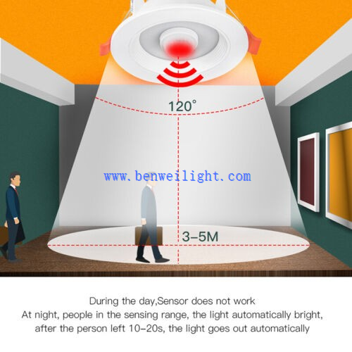 PIR Motion Sensor LED Ceiling Downlight 3