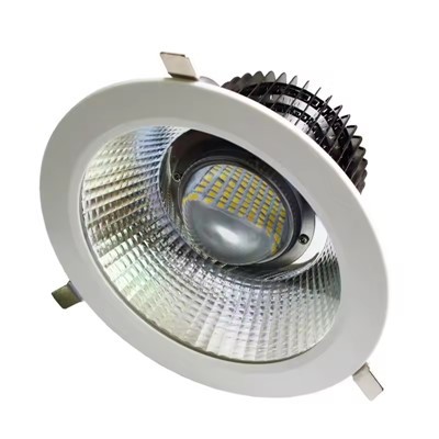 100w   LED   Downlight