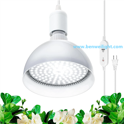 25W Spettru Sħiħ 5000K Pendant LED Kabbar Dawl B'Funzjoni Timer
