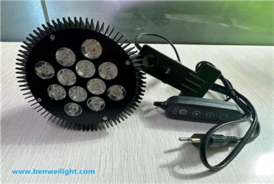 365nm 12W Lampa ta 'Spezzjoni UV Industrijali - Clip - Immonta għal Sejbien Fluworexxenti ta' Preċiżjoni