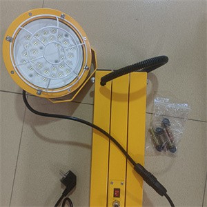 LED Dock Lights 30W 50W