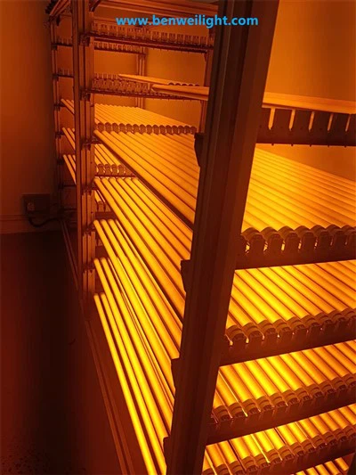 T8 Tube UV & Blue Light Shield: Jimblokka Raġġi Taħt 500nm