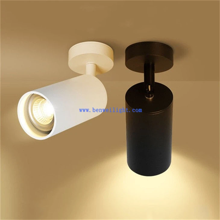 Track Light (1)