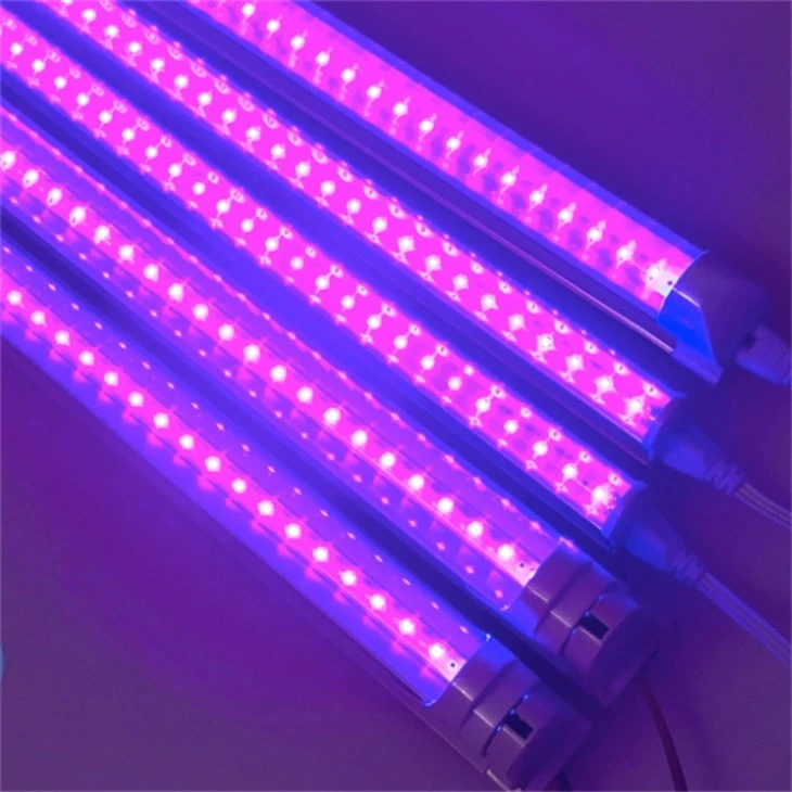 uva tube light 4