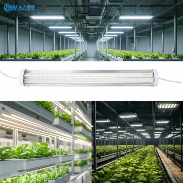 T20 Veġetali Dimmable Led Kabbar Lineari Linkable IP65 Dawl 20-88W